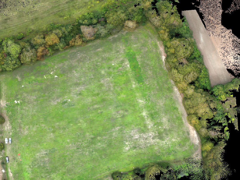 True-colour orthomosaic from one of our own survey flights, field surface and woodland edge resolved at centimetre scale