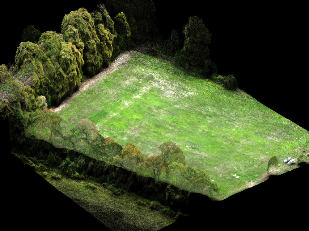 Point cloud of surveyed ground, the field surface and its boundaries resolved as measured height