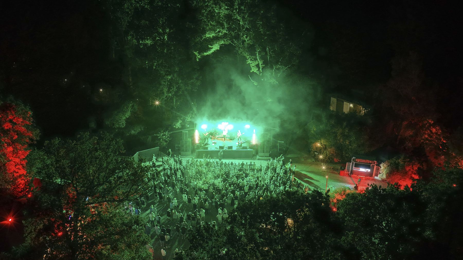 Aerial view of the Strings Festival crowd washed in green stage light, band performing on the lit stage below the tree canopy
