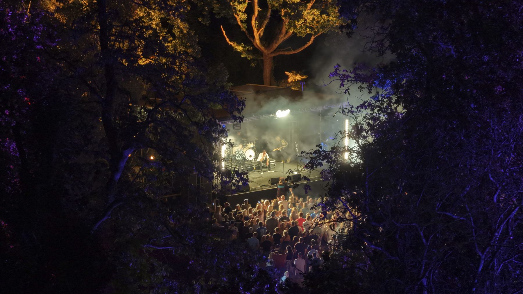 Stage framed by surrounding trees, performer under white lighting with smoke, audience below
