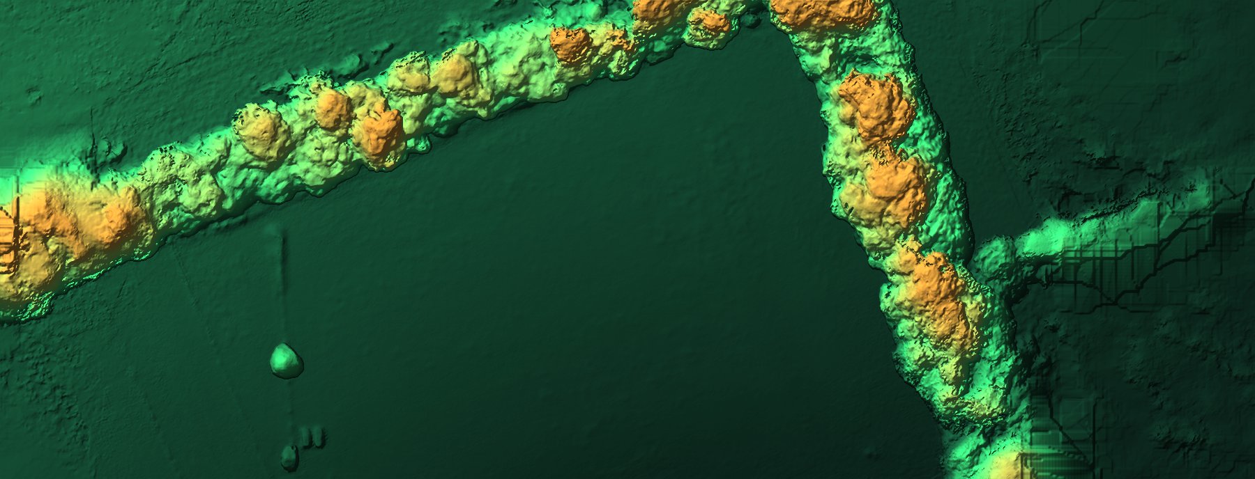Shaded-relief digital surface model of surveyed parkland, hedgerow tree crowns picked out in orange against green ground